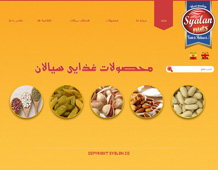 طراحی وب سایت صنایع غذایی نوشینه خرم