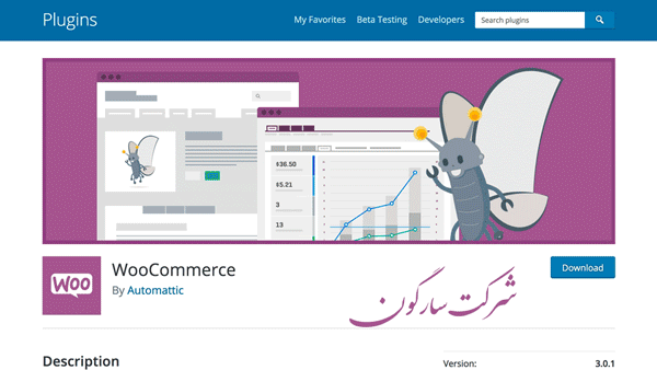 آموزش طراحی سایت فروشگاهی آموزش طراحی سایت فروشگاهی