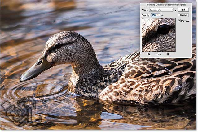 آموزش اصلاح نور تصاویر در فتوشاپ آموزش اصلاح نور تصاویر در فتوشاپ