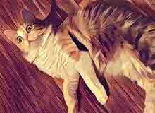 اپلیکیشن محبوب Prisma با قابلیت تبدیل ویدئوهای شما به نقاشی بهروزرسانی شد اپلیکیشن محبوب Prisma با قابلیت تبدیل ویدئوهای شما به نقاشی بهروزرسانی شد