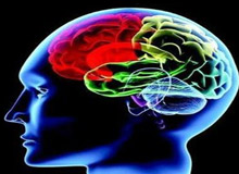 موفقیت محقق ایرانی در استعدادیابی افراد با ثبت امواج الکتریکی مغز