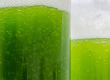 طراحی باتری با استفاده از جلبک برای تولید انرژی الکتریکی طراحی باتری با استفاده از جلبک برای تولید انرژی الکتریکی
