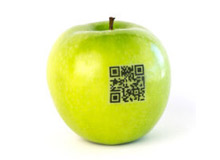 چگونه کدهای QR را با iOS اسکن کنیم؟ چگونه کدهای QR را با iOS اسکن کنیم؟