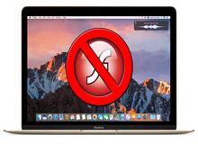 چگونه Flash player را در مرورگر سافاری ۱۰ فعال کنیم؟ چگونه Flash player را در مرورگر سافاری ۱۰ فعال کنیم؟